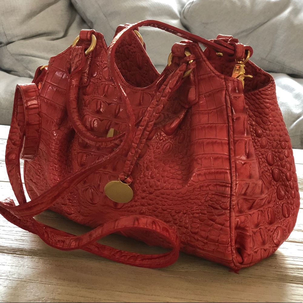 Brahmin Purse